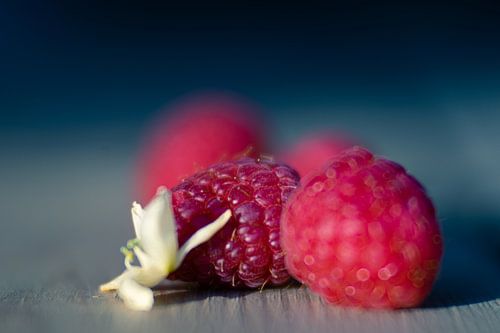 Himbeeren