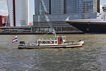 Oude Maze op de Maas van Marcel F.J. Homan