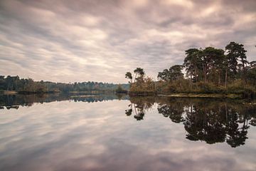 Oisterwijk forests and fens by Ilya Korzelius