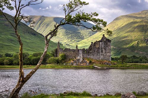 Decaying bucht in Scotland