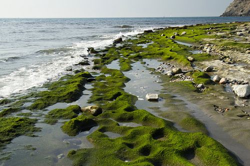 The Green Beach by Cornelis (Cees) Cornelissen