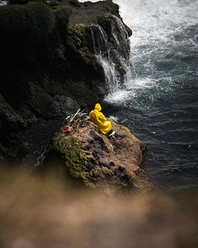 Pêcheur en jaune sur Sharon de Groot