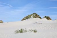 Zandduinen