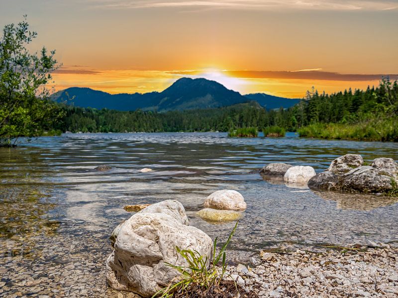Ufer eines Bergsee in den Alpen von Animaflora PicsStock