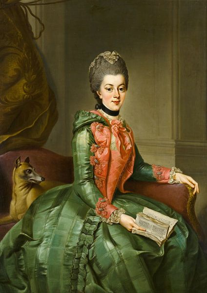 Portrait de la princesse Frederika Sophia Wilhelmina, Johann Georg Ziesenis par Des maîtres magistraux
