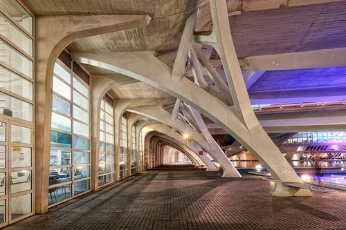 Ciutat de les Arts i les Ciències of Ciudad de las Artes y las Ciencias