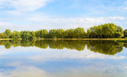 Reflections