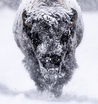 Auf dem Weg zu Ihnen.