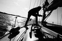 Sailing - Oosterschelde