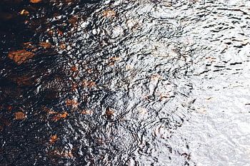 Surface de l'eau avec quelques feuilles d'automne