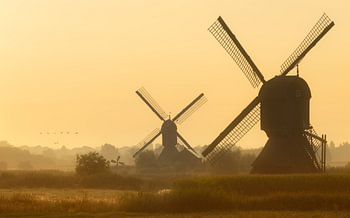 The Uppel twins bathed in the glorious golden light of the century.