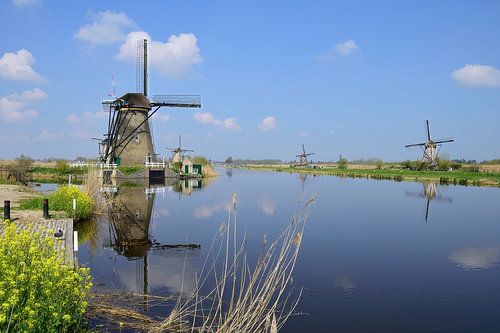 Op weg naar Nederwaard molen #5
