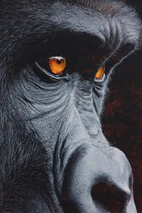 Gorilla im Glühen der Selbstbeobachtung