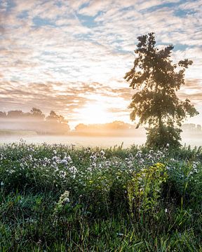 Schöner Morgen von Bram Veerman