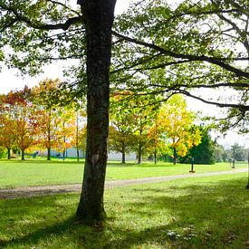 Park vanuit de schaduw van Corinne Welp