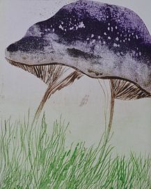 Mushroom by Frank van Veen