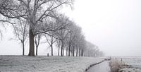 Eisige Winterlandschaft während eines frühen nebelhaften Morgens von Sjoerd van der Wal Fotografie Miniaturansicht