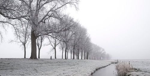 IJzig de winterlandschap tijdens een vroege nevelige ochtend 