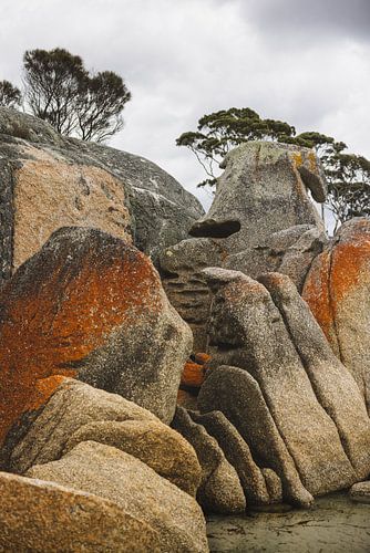 La baie des incendies : une mosaïque de couleurs et de nature