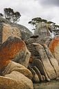 Bay of Fires: A Mosaic of Colour and Nature by Ken Tempelers thumbnail