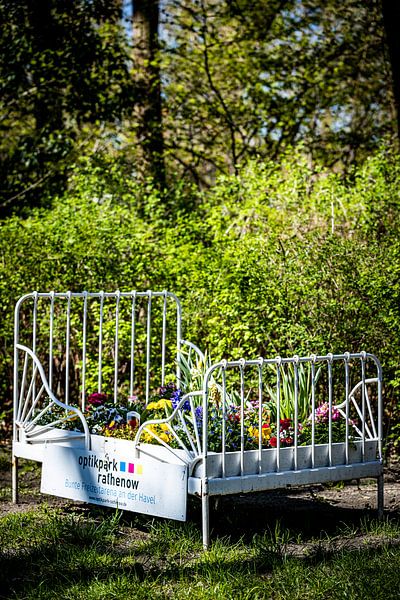 Rathenow &quot;City of Optics by David Krause