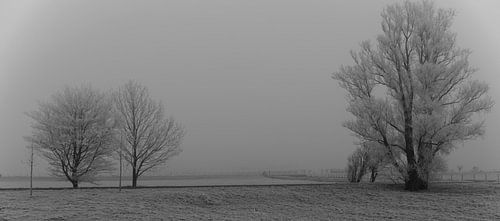 le silence dans le mûr