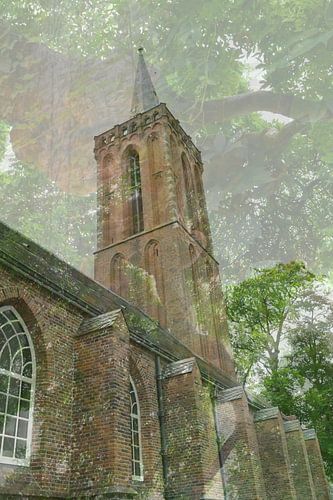 Church with century-old tree