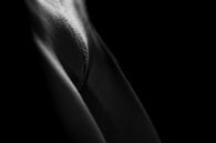 Künstlerische Vagina Nackt in Low Key Schwarz und Weiß von Art By Dominic Miniaturansicht