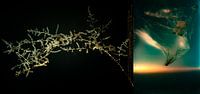 THE FUTURE OF OUR PLANET_PLASTIC SOIL N.02