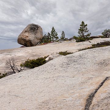 Rotsblok in Yosemite National Park van Anouschka Hendriks