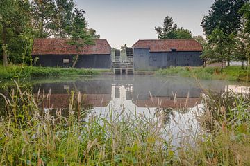 La nature autour d'Eindhoven 2025 sur www.Focus040.nl