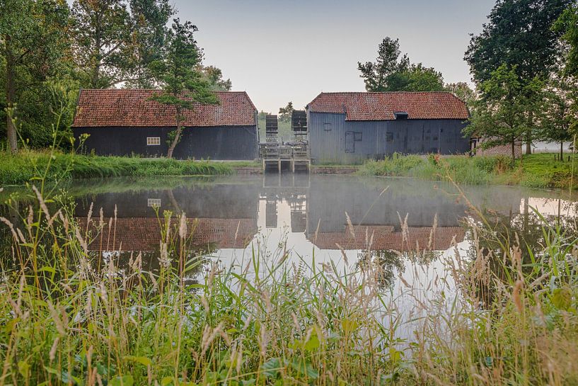 Natur rund um Eindhoven 2025 von www.Focus040.nl