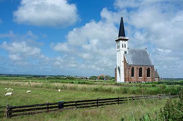 Pré de l'église Den Hoorn Texel sur Rene du Chatenier