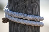 touw van marijke servaes thumbnail