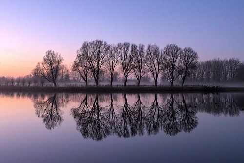 Oranje en paars in de spiegel