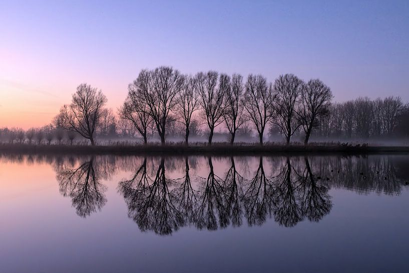 Orange et violet dans le miroir par Mike Bing