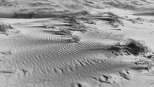 Lumière sur les dunes – Photo de plage en noir et blanc aux contrastes marqués sur eric van der eijkj
