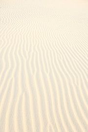 Lines and shapes on the beach in the Netherlands by Caroline Drijber Guérain