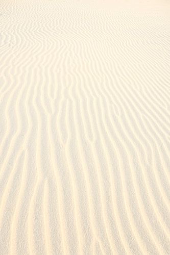 Lines and shapes on the beach in the Netherlands by Caroline Drijber Guérain