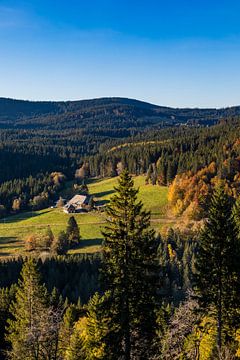 Schwarzwaldhaus im Hochschwarzwald von Werner Dieterich