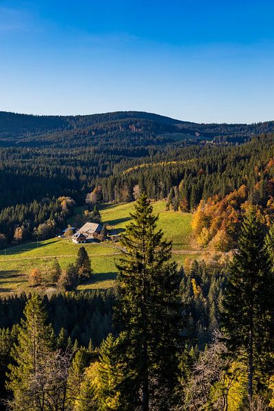 Schwarzwaldhaus im Hochschwarzwald von Werner Dieterich