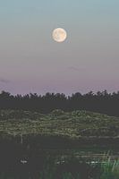 Vollmond über Terschelling in der Abenddämmerung