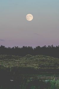Pleine lune au-dessus de Terschelling au crépuscule du soir sur Alex Hamstra