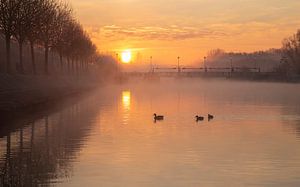 Gouden zonsopkomt boven de Leie aan de sluizen in Menen - Belgie