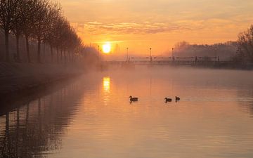 Gouden zonsopkomt boven de Leie aan de sluizen in Menen - Belgie