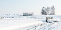 Samtschneelandschaft in Südholland von Rob IJsselstein Miniaturansicht