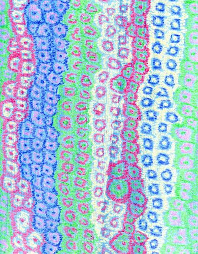 abstracte bloemen als streeppatroon 1