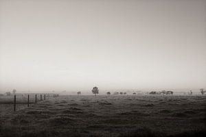 Horizon