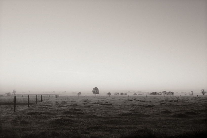 Horizont von Albert Hartwig