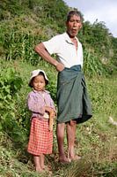 Myanmar, travail sur la terre